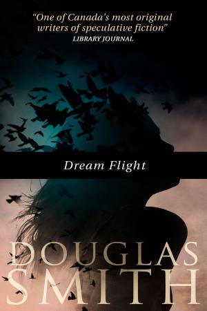Cover of the book Dream Flight by Stefanie Twist