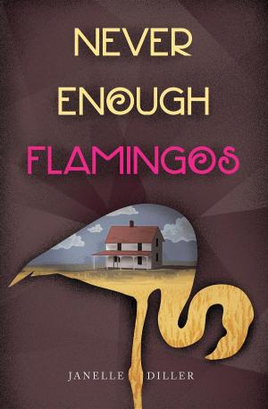 bigCover of the book Never Enough Flamingos by 