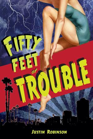 Cover of the book Fifty Feet of Trouble by Lise Breakey