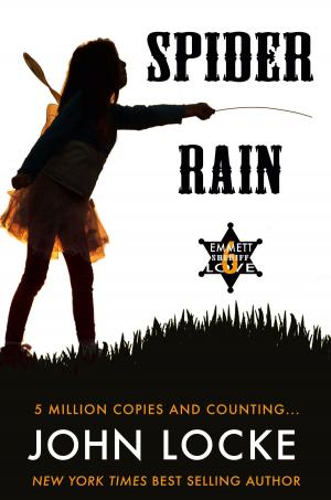 Cover of the book Spider Rain by Carry Lada