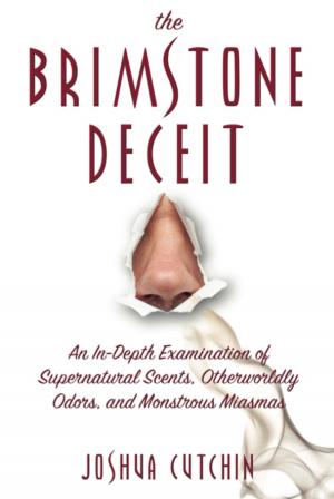 Book cover of THE BRIMSTONE DECEIT
