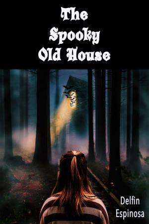 Cover of The Spooky Old House