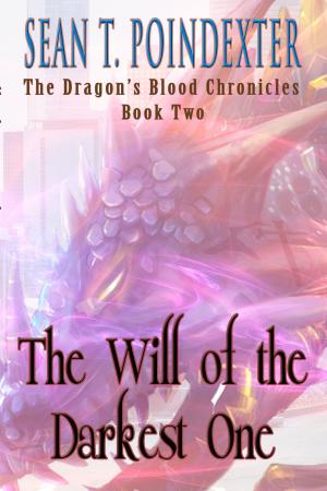 Cover of the book The Will of the Darkest One by VC Birlidis