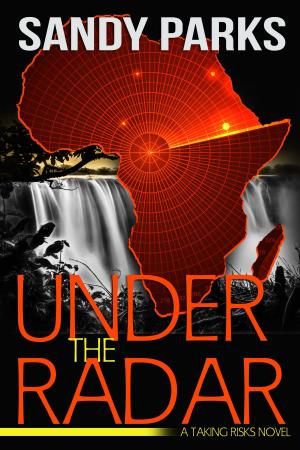 Cover of the book Under The Radar by Jodie Rye
