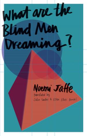 Book cover of What are the Blind Men Dreaming?