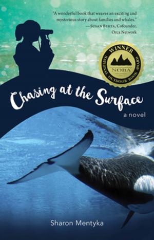 Cover of the book Chasing at the Surface by CG Edwin