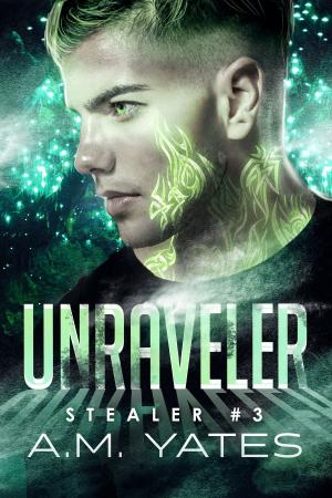 Cover of the book Unraveler by Debbie Manber Kupfer