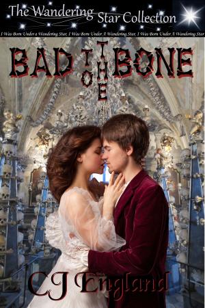 Cover of the book Bad To The Bone by Anya M. Silver