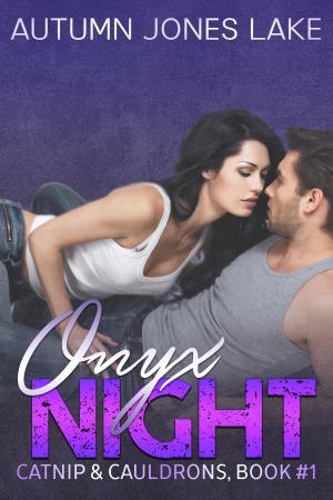 Cover of the book Onyx Night by Morgan Jane Mitchell