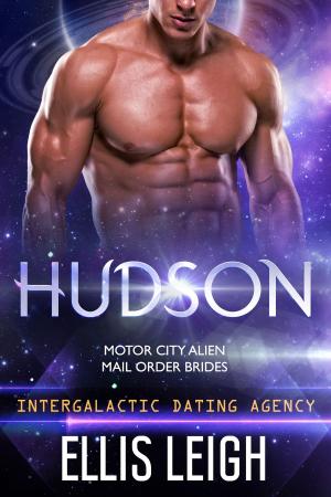 Cover of the book Hudson by Ryder Cole