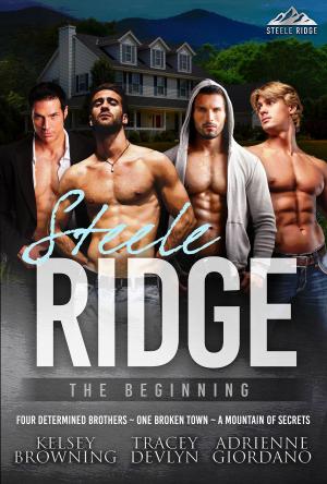 Book cover of Steele Ridge: The Beginning