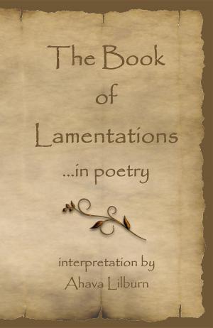 Cover of the book The Book of Lamentations by Dallas James