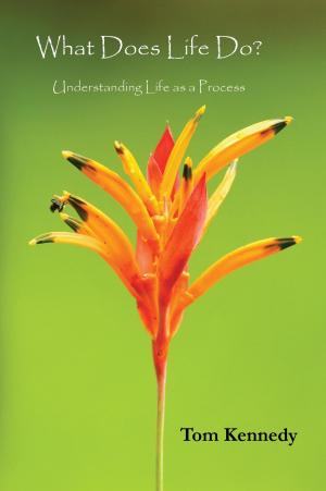 Cover of the book What Does Life Do? by Laura Buonofiglio