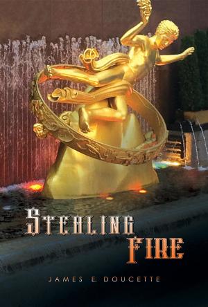 Cover of the book Stealing Fire by Michael Earl DeCamp