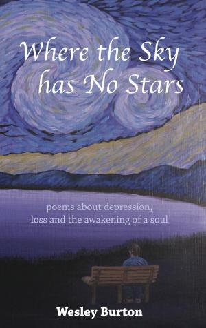 Book cover of Where the Sky has No Stars