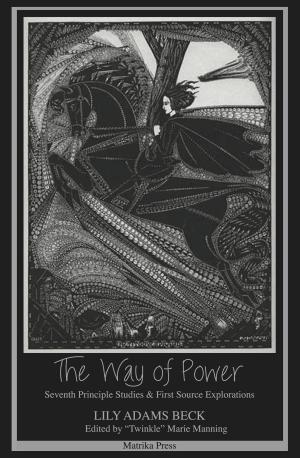 Cover of the book The Way of Power by Diane Stein