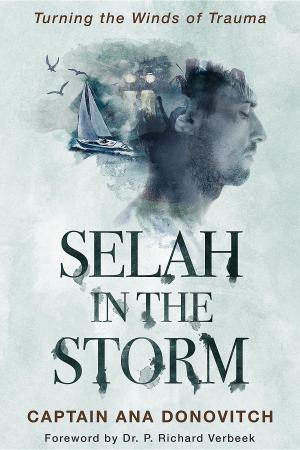 Cover of the book Selah in the Storm by Stephen Burchard, Brendon Covey