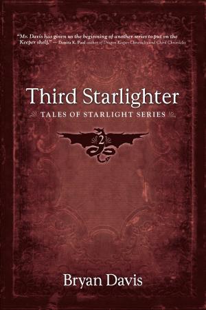 Cover of the book Third Starlighter by David Michael Williams