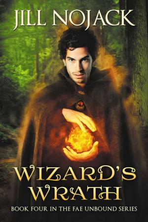 Cover of Wizard's Wrath