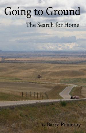 bigCover of the book Going to Ground: The Search for Home by 