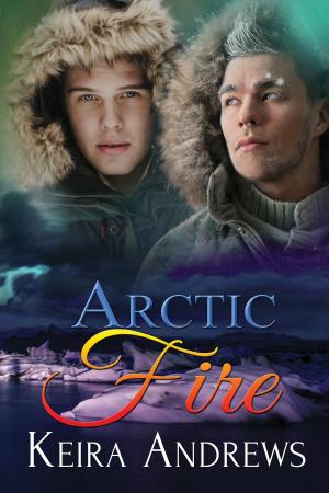 Book cover of Arctic Fire