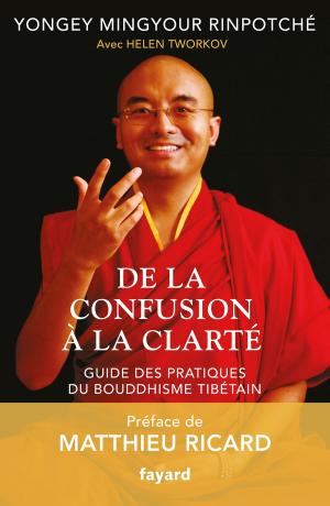 Cover of the book De la confusion à la clarté by Patrick Poivre d'Arvor