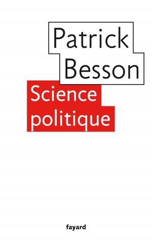 Cover of the book Science politique by Jean Richard