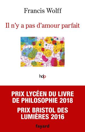 Cover of the book Il n'y a pas d'amour parfait by Frédérique Molay