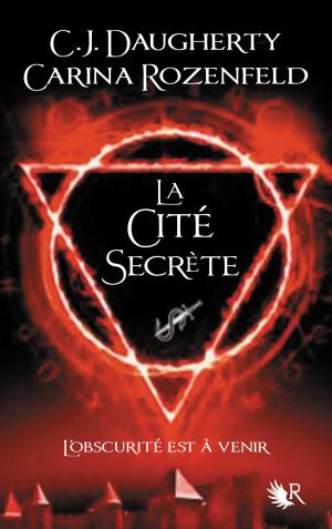 Book cover of Le Feu secret - Tome 2