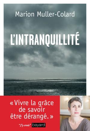 Cover of the book L'intranquillité by Fréderic Boyer, Serge Bloch