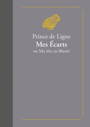 Book cover of Mes écarts ou ma tête en liberté