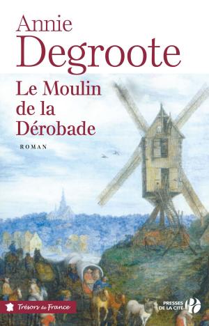 Cover of the book Le Moulin de la Dérobade by Georges SIMENON