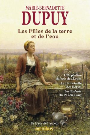 Book cover of Les Filles de la terre et de l'eau