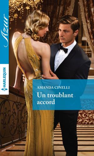 Cover of the book Un troublant accord by Dana R. Lynn