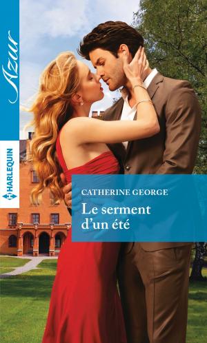 Book cover of Le serment d'un été