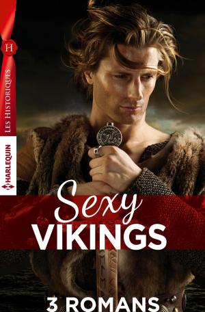 Cover of the book Coffret Sexy Vikings by Michele Hauf, Bonnie Vanak, Laura Kaye, Katie Reus