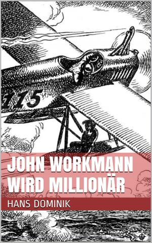 Cover of the book John Workmann wird Millionär by Georg Lomer