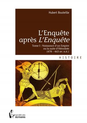 Cover of the book L'Enquête après *l'Enquête* by Nicole Caplain
