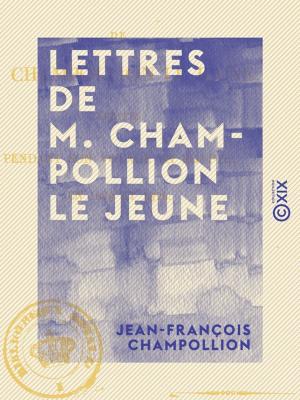 Cover of the book Lettres de M. Champollion le jeune - Écrites pendant son voyage en Égypte, en 1828 et 1829 by Paul Bourget