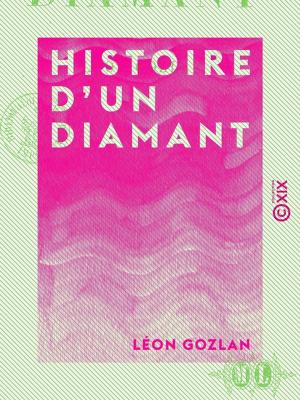 Cover of the book Histoire d'un diamant by Alfred Maury