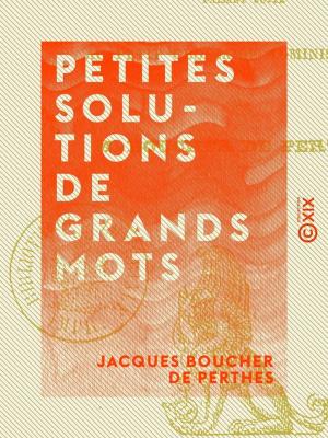 Cover of the book Petites solutions de grands mots by Henry Murger