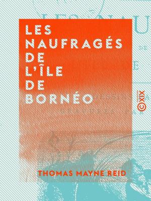 Cover of the book Les Naufragés de l'île de Bornéo by Edmond Auguste Texier