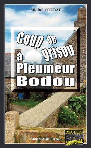 Book cover of Coup de grisou à Pleumeur-Bodou