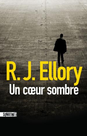 Book cover of Un coeur sombre