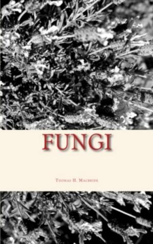 Cover of the book Fungi by Charles Abbott, C. Stephen