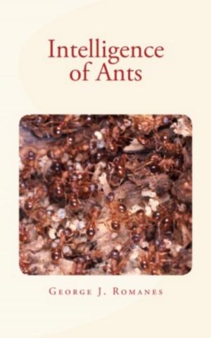 Book cover of Intelligence of Ants