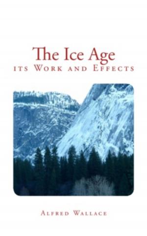 Cover of the book The Ice Age by George J. Romanes