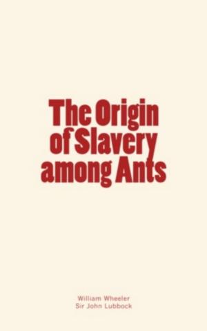 Book cover of The Origin of Slavery among Ants