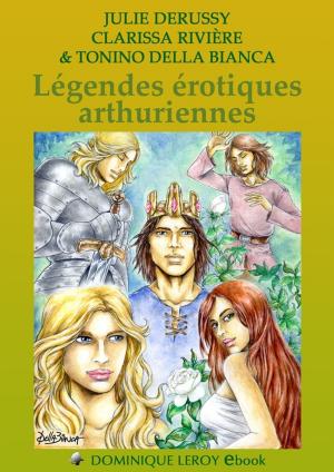 Book cover of Légendes érotiques arthuriennes
