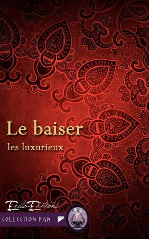 Cover of the book Le Baiser by Delphine Clever